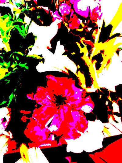 波普艺术的Posterized花