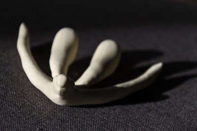 3d打印女性性器官阴蒂，用于人体解剖学课程