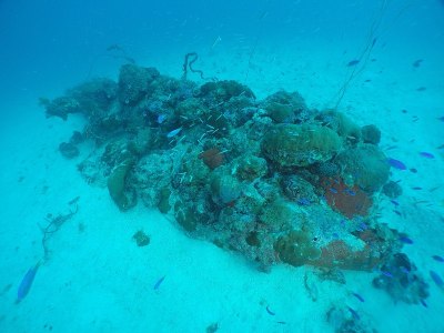 二战时日本海军的杰克水上飞机