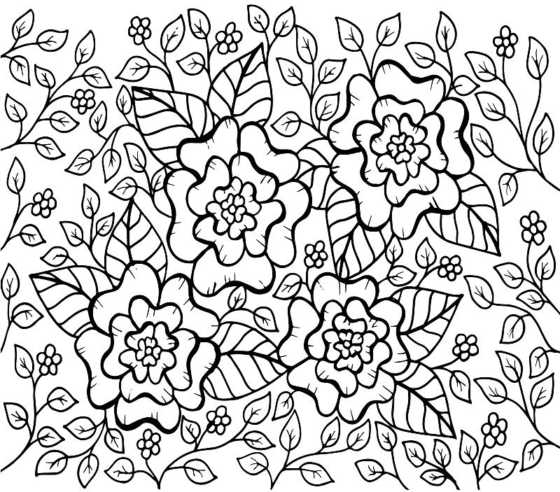 Hand drawn floral doodle. Coloring pages for book