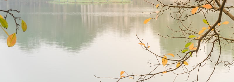 全景的春天还剑湖与明亮的淡水红树林树叶在河内