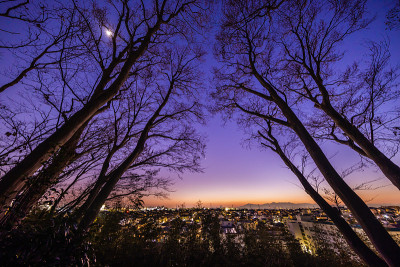 横滨郊外的夜景，在那里你可以看到坦桑尼亚山脉