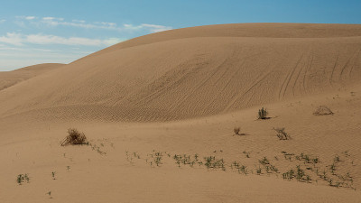Sounthern California Sand Dunes