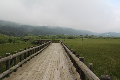 木路