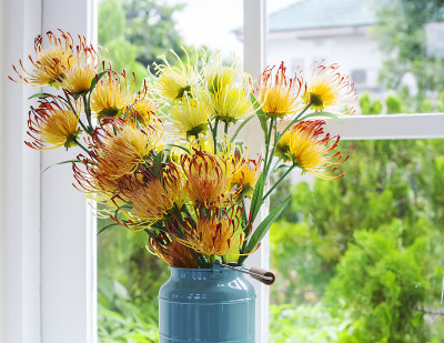 塑料花