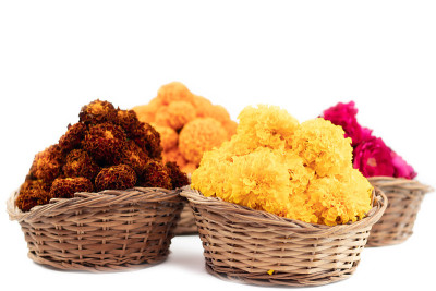 竹篮里的黄色万寿菊花，称为Puja Phool Ki Tokri或Dalia，用于装饰和在节日期间向