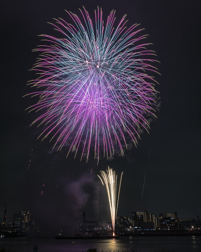 日本烟花在东京夏季节日期间