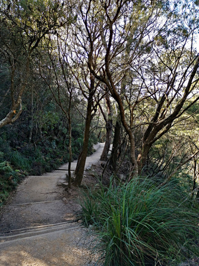 深谷高山，蓝山国家公园