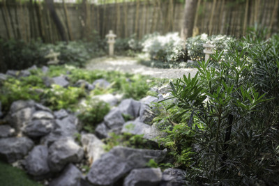 小日式岩石花园