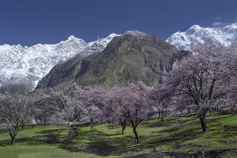 巴基斯坦的山脉和山峰