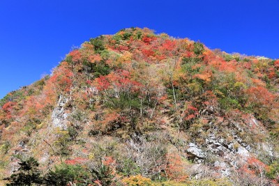 北府峡谷，自然造型美，秋(高知县)