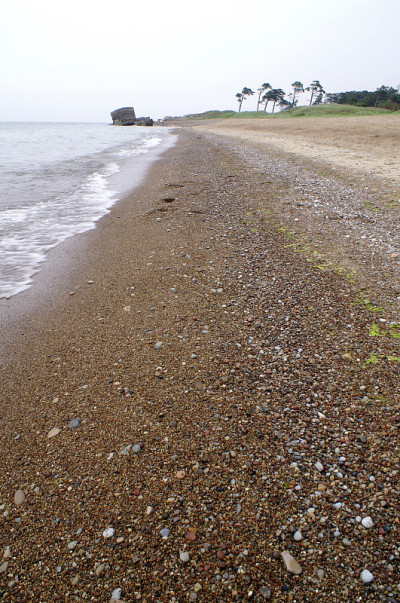 海