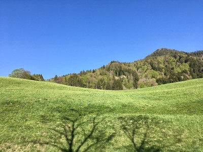 Schliersee,上巴伐利亚