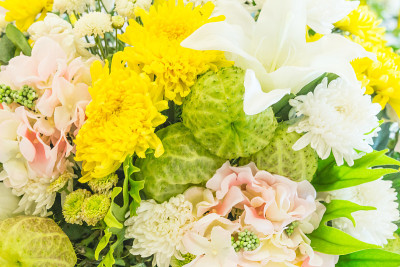 束鲜花。