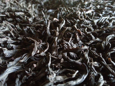 加工过的茶叶