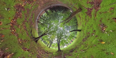 小星球360全景植物园和森林n