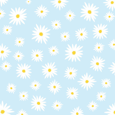 Daisy flower vector pattern illusration floral bac