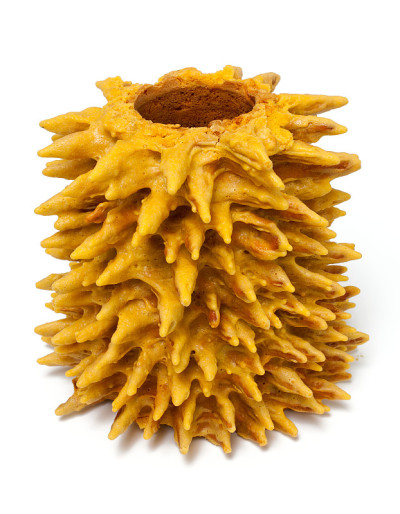 Sakotis (sekacz)是立陶宛和波兰的传统蛋糕