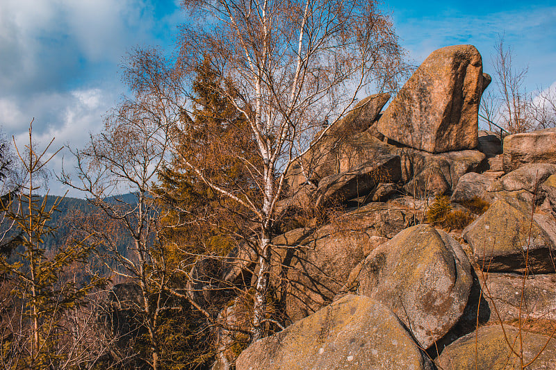 Feigenbaumklippe Okertal。德国哈尔茨山国家公园戈斯拉尔附近的悬崖峭壁