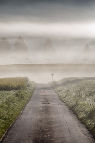 foggy_road