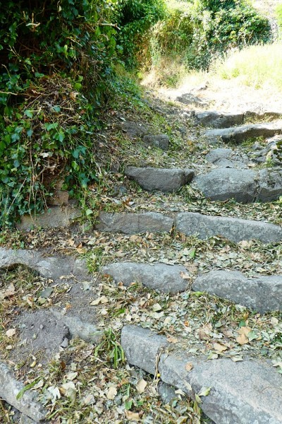 穿石针