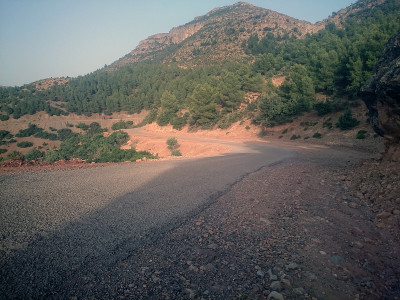 在山里