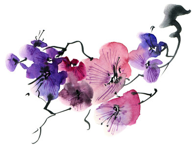 开花树枝