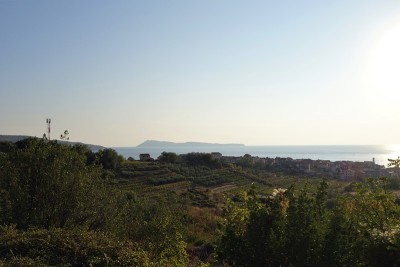 维斯岛的全景和景观