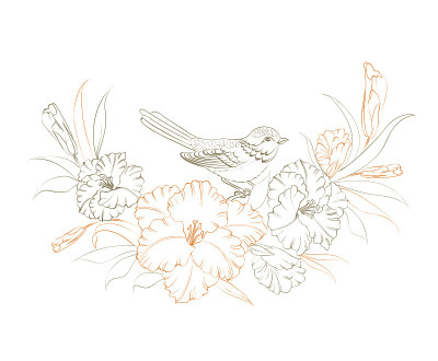 鸟坐在鸢尾花上。