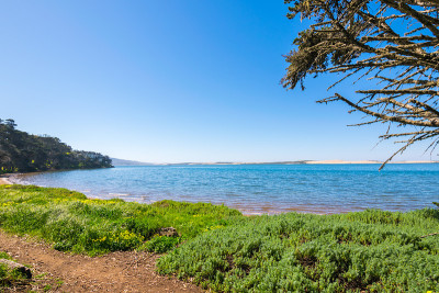 Morro Bay State Park, Morro Bay State Marine Reser