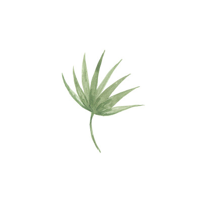 明亮的水彩叶子孤立的白色背景
