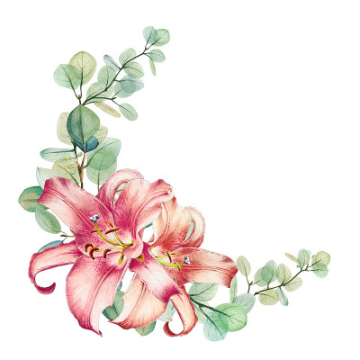 水彩花桉树和粉色百合手绘花束圆框架模板。Beautifuln花环。花团锦簇，怒放。