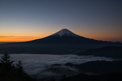 牵牛花富士山和云海，山梨，日本