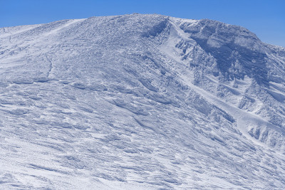 藏山的熊野山