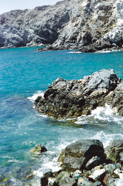 东海岸