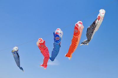 鲤鱼等浮电缆