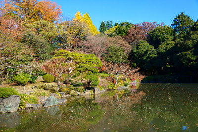 秋日的东京古川花园
