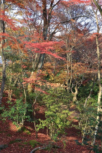 秋天京都日本