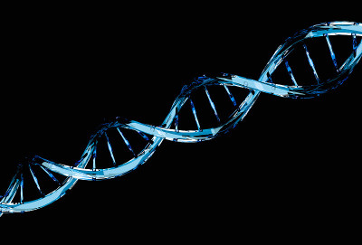 蓝色DNA分子结构分离在黑色上