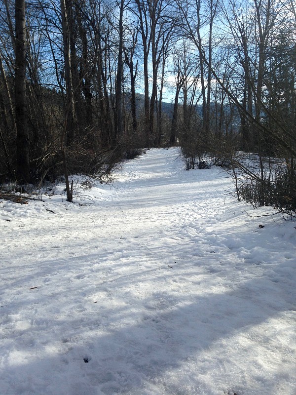 雪公园