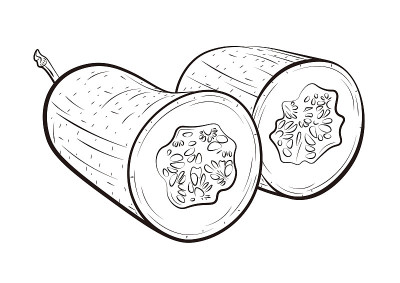 冬南瓜矢量插图画家