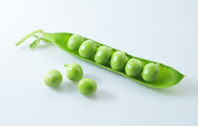(2008年)