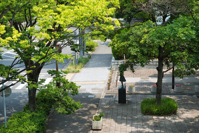 方案的岛屿城市