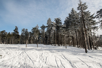 冬天在波兰Beskid Slaski山脉的Barania Gora山咆哮