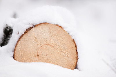 木雪
