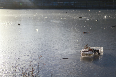 Frozen pond in the light of sunset