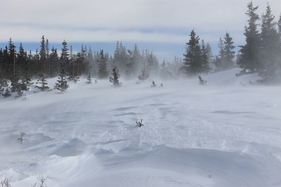 暴雪
