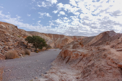 美丽的沙漠地质形成，多彩的砂岩峡谷行走路线