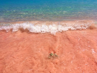 美丽的粉红色海滩和蓝色清澈的水来自科莫多岛(科莫多国家公园)，纳闽巴霍，弗洛雷斯，印度尼西亚