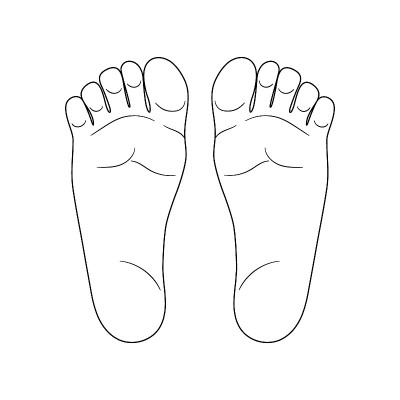 脚向量